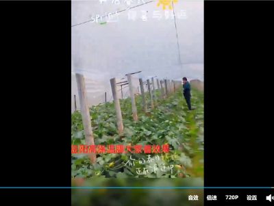 點擊查看詳細信息<br>標題：金鵬高保溫膜大姐看效果吧 閱讀次數(shù)：2183